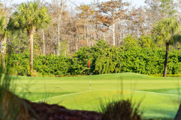 Bonita National Golf Naples Stock Photography-4