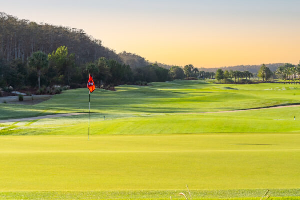 Bonita National Golf Naples Stock Photography