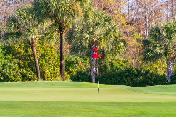 Bonita National Golf Naples Stock Photography-7