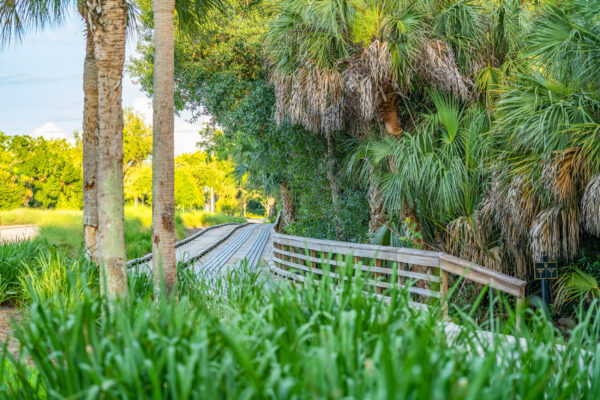 Pelican Marsh Bay Colony Golf-10