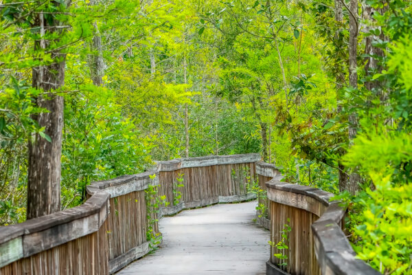 Kirby Storter Roadside Park Everglades Naples Stock Photography