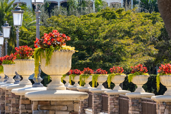 Talis Park Naples Stock Photography-5