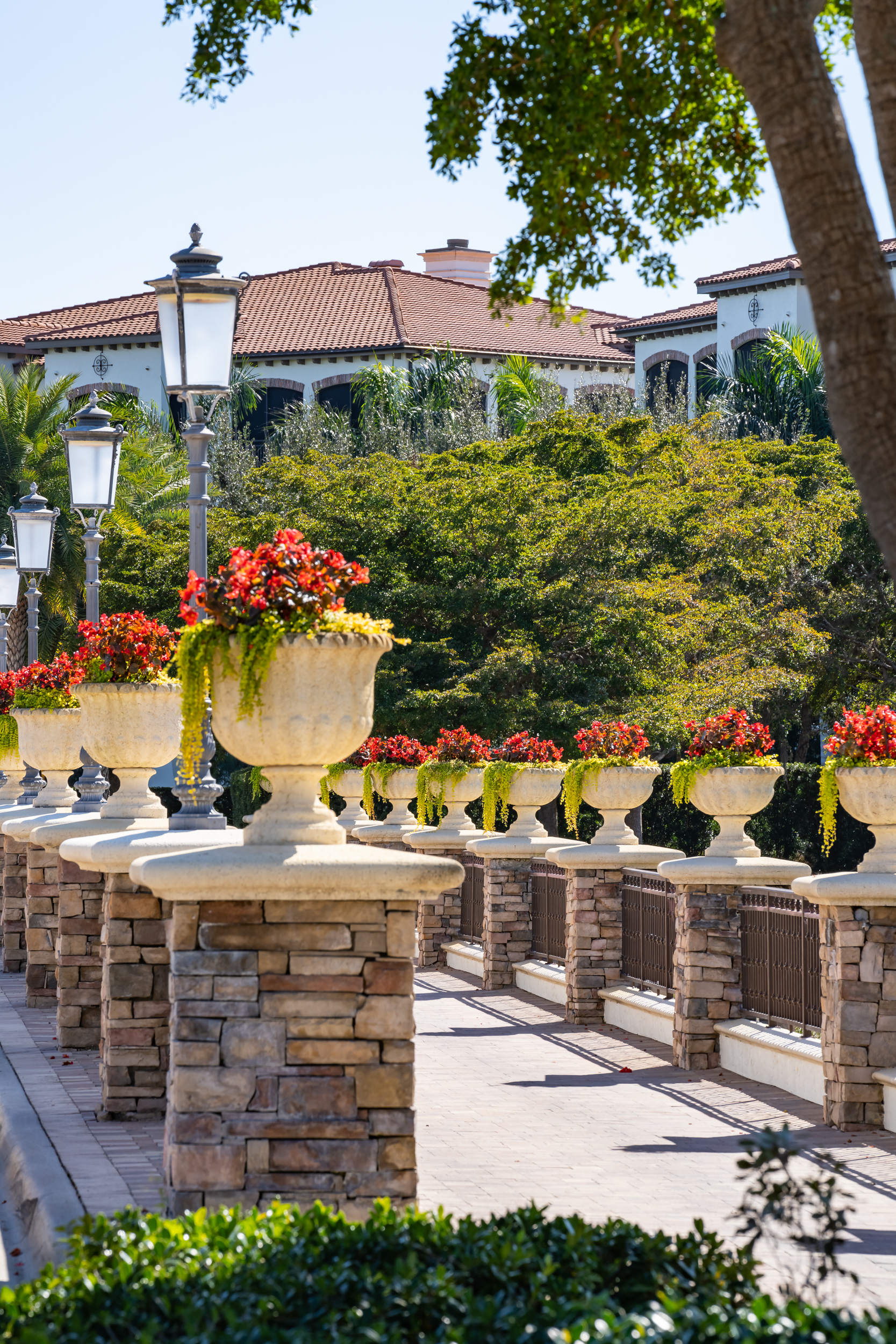 Talis Park Naples Stock Photography-5