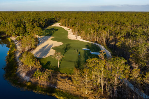 Tiburon Naples Ritz Aerial Stock Photography-11