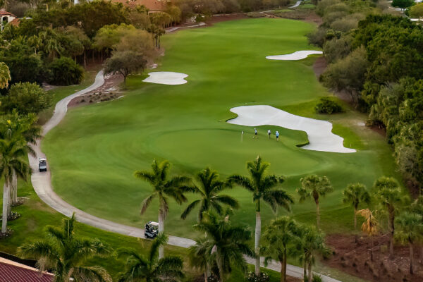 Tiburon Naples Ritz Aerial Stock Photography-12