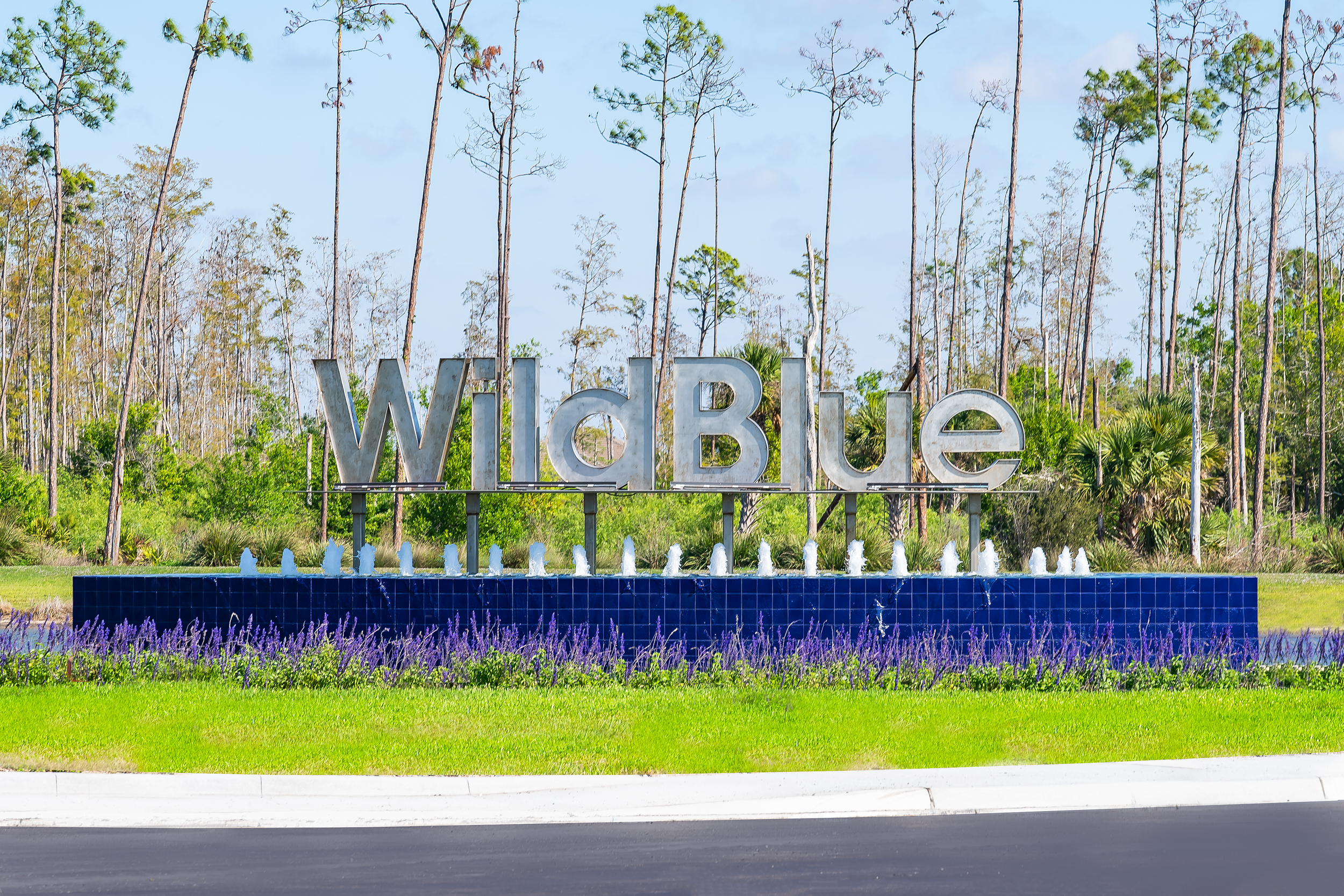 Wild Blue Estero Stock Photography_