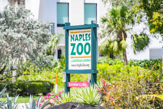 Naples Area Entertainment Stock Photography- Naples Zoo