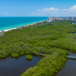Pelican Bay Naples Aerial Stock Photography-8