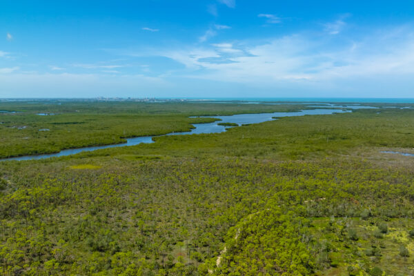 Henderson Creek Naples Aerial STock Photography