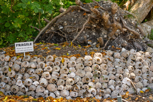 Otter Mound Marco Island Naples Stock Photography-3