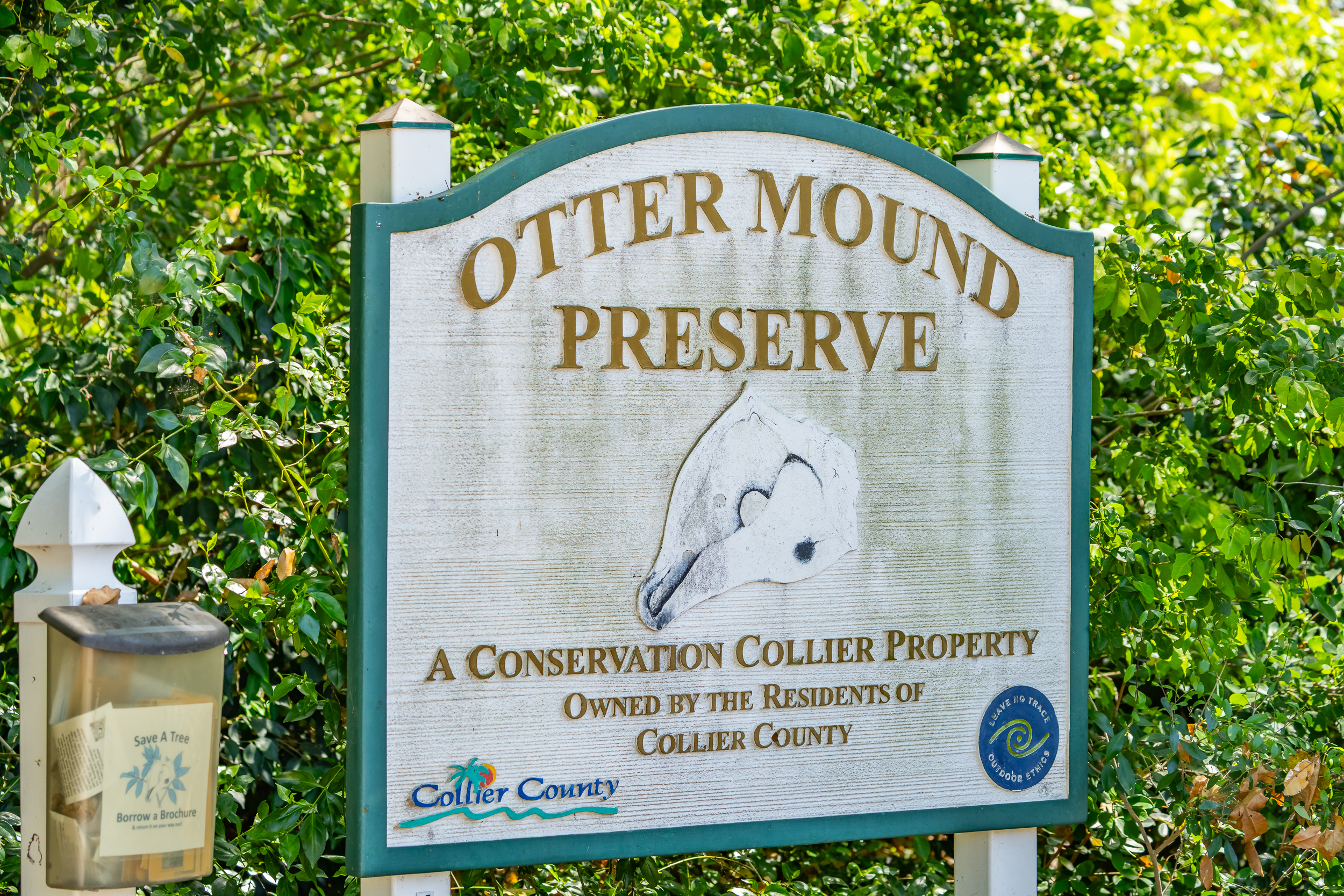 Otter Mound Marco Island Naples Stock Photography