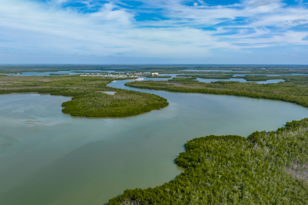 Key Marco Island Goodland Aerial Stock Photography-13