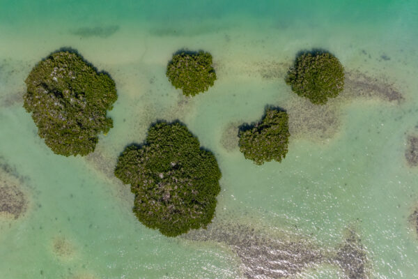Marco Island Aerial Stock Photography-3