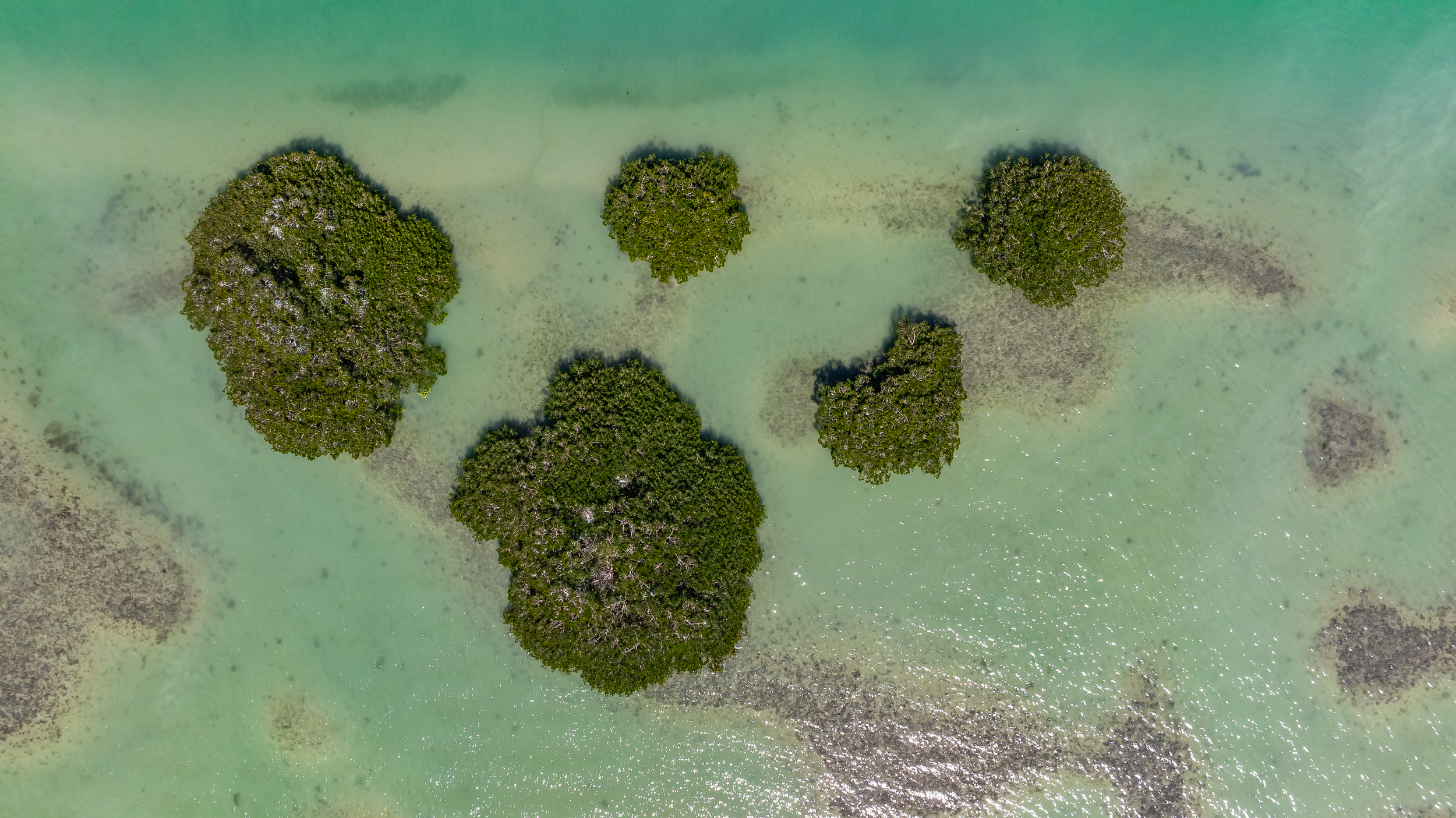 Marco Island Aerial Stock Photography-3