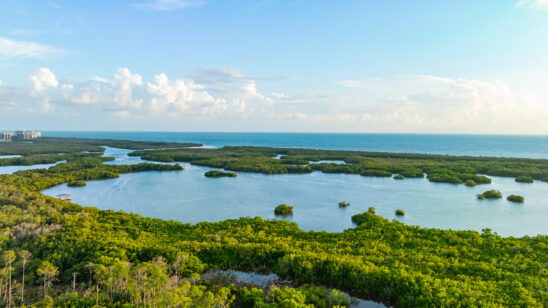 Kalea Bay View Naples Aerial Stock Photography_