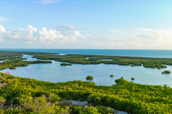 Kalea Bay View Naples Aerial Stock Photography_
