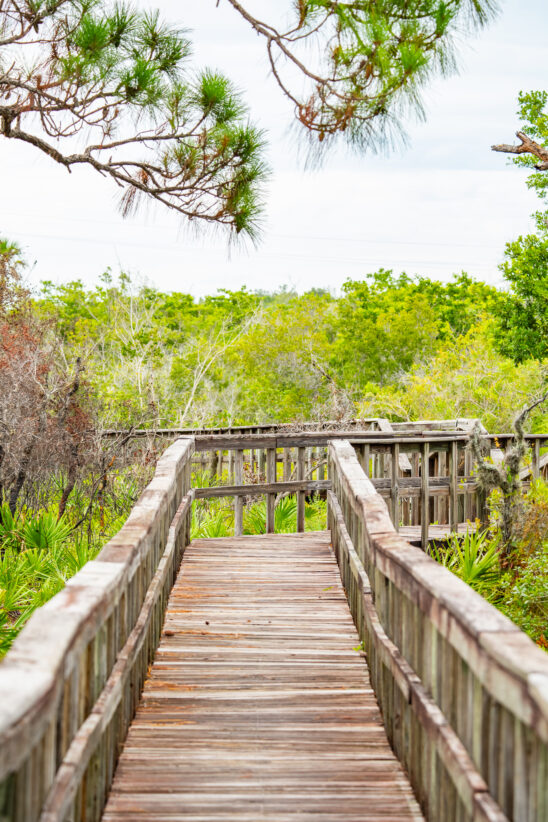 Naples Nature Stock Photography