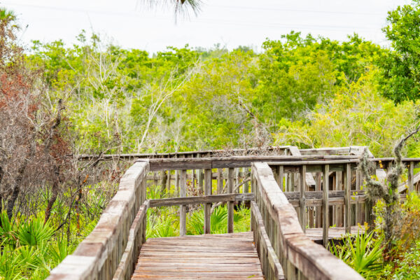 Naples Nature Stock Photography