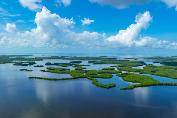 Ten Thousands Islands Everglades National Park Aerial Stock Photography-2