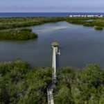 Barfoot Beach Bonita from Bay Forest Naples Aerial Stock Photography-6