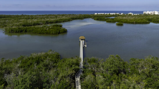 Barfoot Beach Bonita from Bay Forest Naples Aerial Stock Photography-6