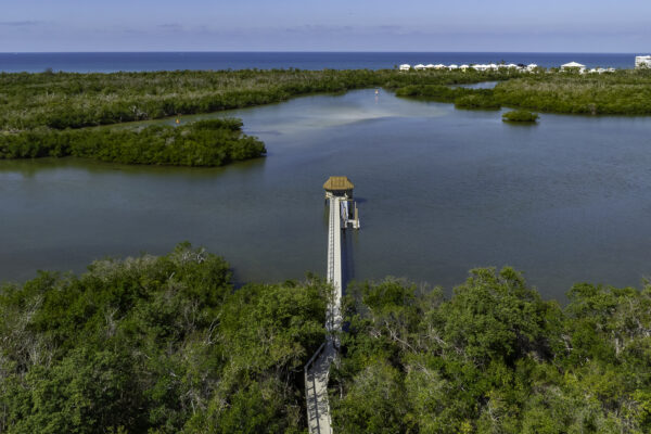 Barfoot Beach Bonita from Bay Forest Naples Aerial Stock Photography-6