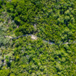 Kalea Bay Naples Aerial Stock Photography-19