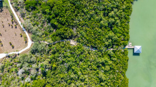 Kalea Bay Naples Aerial Stock Photography-19