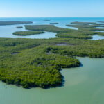 Goodland Naples Aerial Stock Photography