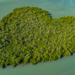 Goodland Naples Aerial Stock Photography-2