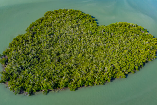 Goodland Naples Aerial Stock Photography-2