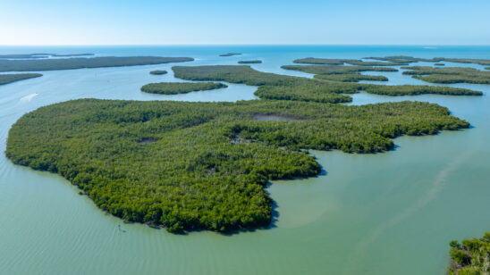 Goodland Naples Aerial Stock Photography