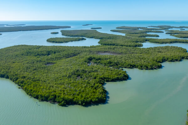 Goodland Naples Aerial Stock Photography