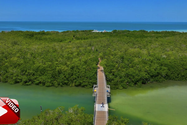 Clam Pass Beach Boardwalk Naples Stock Video_2_Watermarked
