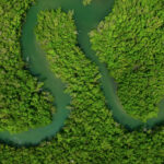 Pelican Bay Mangroves Naples Aerial Stock Video_2