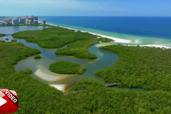 Pelican Bay Naples Aerial Stock Video_3
